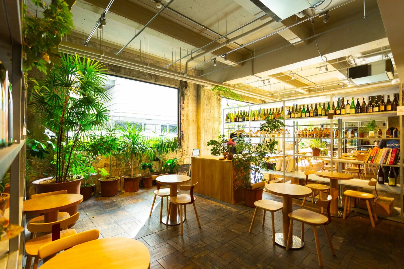 観葉植物と木のテーブルが並ぶ、明るいカフェの店内。奥の棚にはボトルが並んでいる。